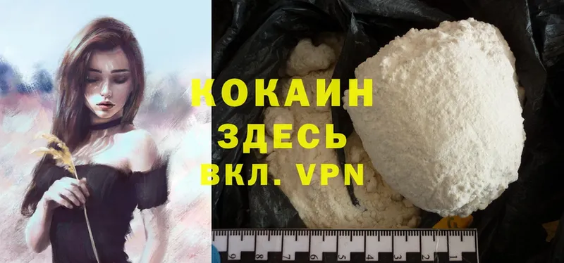 дарк нет официальный сайт  где продают наркотики  Правдинск  Cocaine Эквадор 